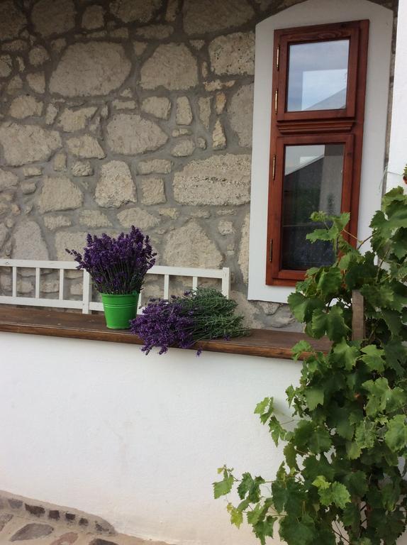 Vitamin B63 Vendeghaz Guest house *
