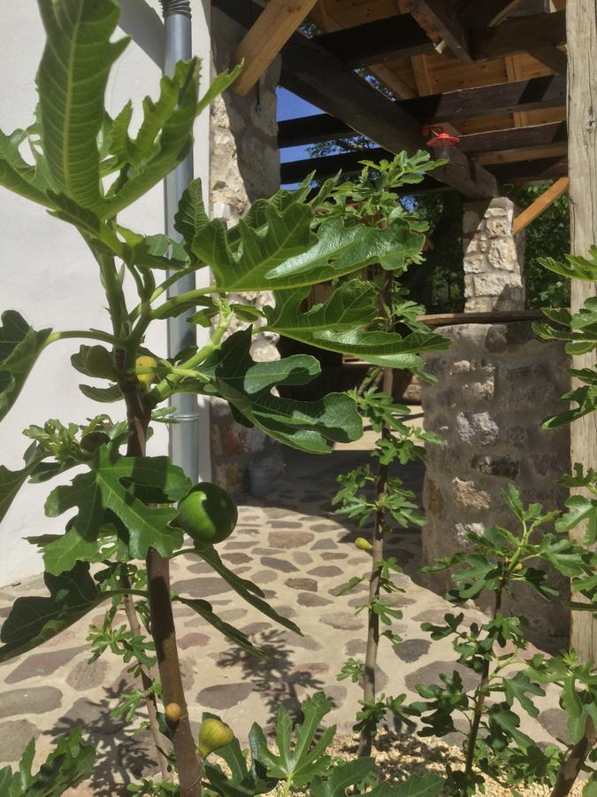 Guest house Vitamin B63 Vendeghaz *